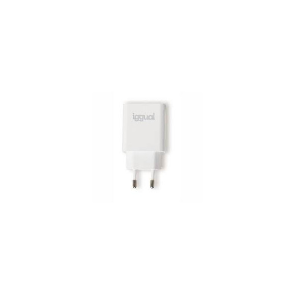 iggual Caricabatterie rapido USB PD Type-C 45W GaN