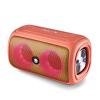 NGS ENCEINTE PORTABLE BT RGB IPX5 ROLLERBEASTCORAL