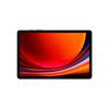 Samsung TAB S9 sm-x716b 5G 12+256 Go graphite