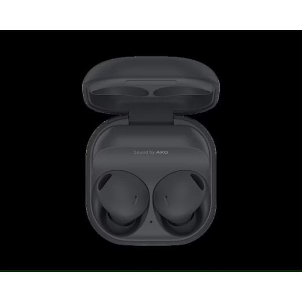 Kopfhörer Samsung Buds 2 Pro Grau