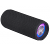 HAUT-PARLEUR AMPLIFIÉ 14W BLUETOOTH USB MICRO TREVI XR 8A25 NOIR