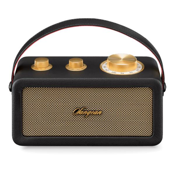 Sangean Ra-101 Black Gold / Portable Speaker