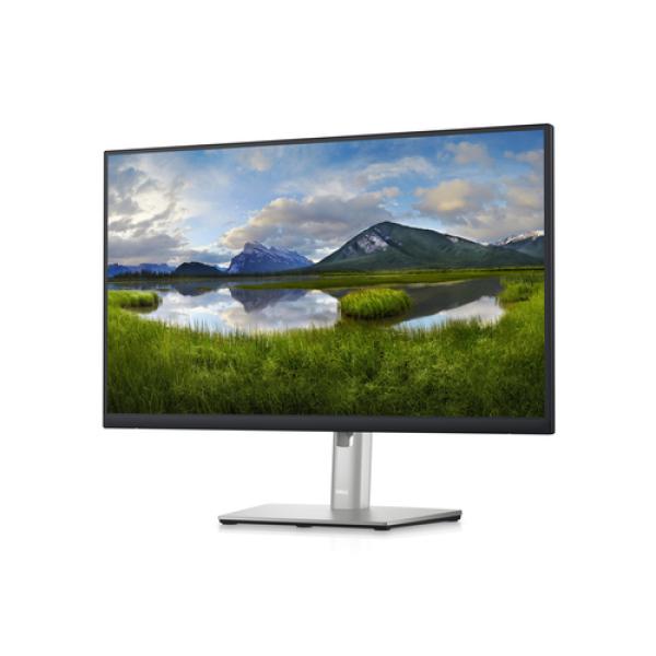 Dell 24 Monitor - P2423D