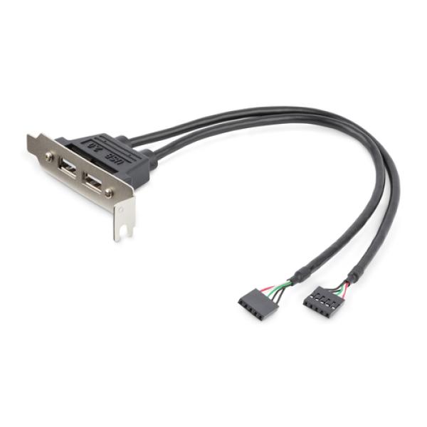 2 Port USB LP Slot Plate Adapter