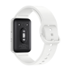 Samsung Galaxy Fit3 Argent (Argent) SM-R390