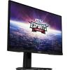 G244F E2 GAMING 23.8"Flat RapidIPS Black