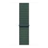 Apple Watch 40 Lake Green Sl