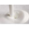 Espumador Philips Milk Twister Ca6500