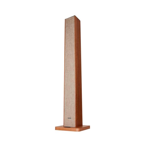 Aiwa Tsbt-270wd Madera - Altavoz De Torre