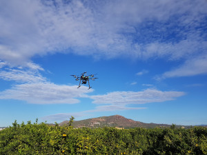 Drones e inteligencia artificial para obtener mejores rendimientos en el campo