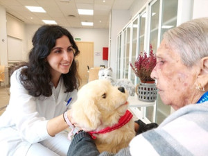 ‘Perrete’, the robot that improves the quality of life for people with Alzheimer’s, “gets to work”